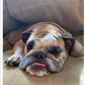 Meet your Posher, Jodi